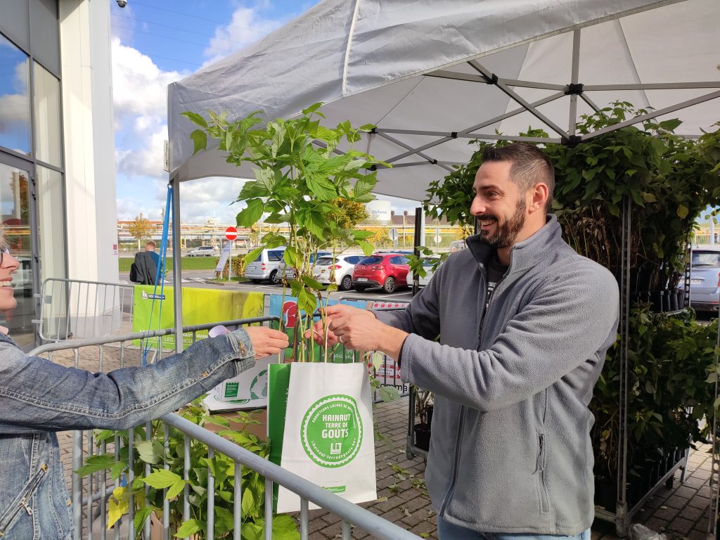Distribution de petits fruitiers