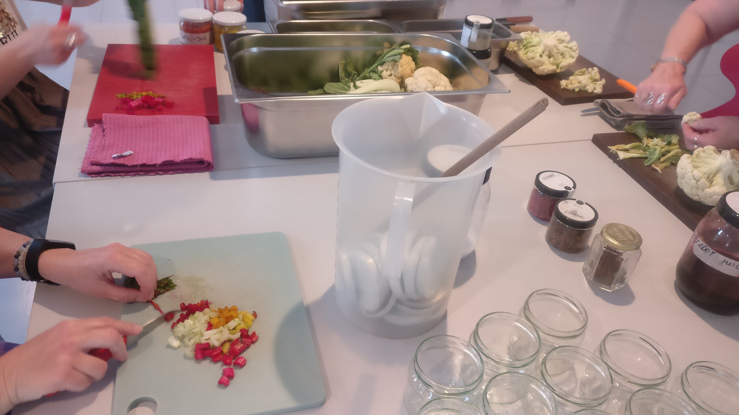 Atelier lactofermentation