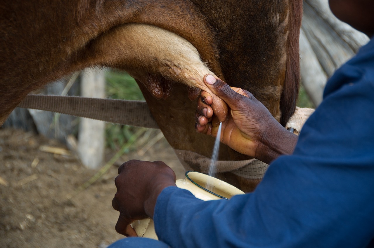 Journée découverte à la Ferme Moranfayt