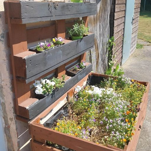 Potager en terre et en bacs