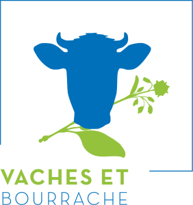 Vaches et bourrache